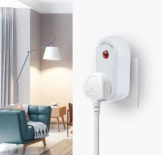 Remote Control Socket
